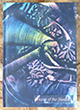 Previous Issues